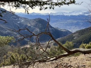 Lire la suite à propos de l’article Formation AM / module 6 / Evaluations et l’humain au coeur des montagnes