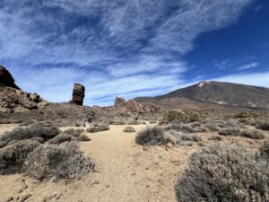 Lire la suite à propos de l’article Ascension du Teide : une expérience transformante en montagne