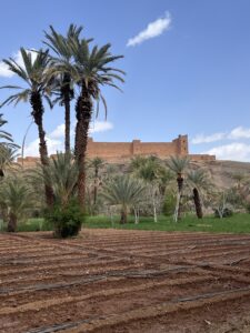 contraste marocain
