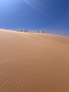 desert