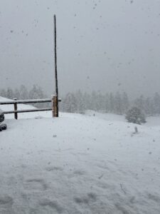 TOMBELANEIGE