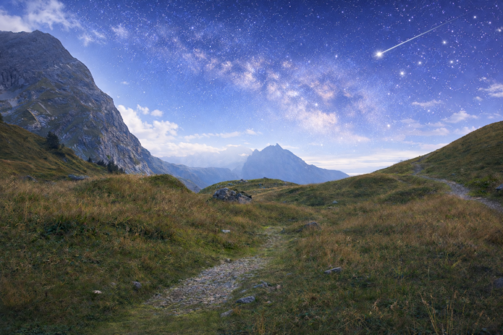 OSE! l'élan - la traversée